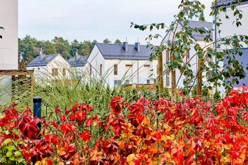 17-10-18_16-26_IMG_5741_agataw.pl