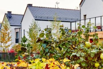 17-10-18_16-33_IMG_5771_agataw.pl